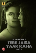Tere Jaisa Yaar Kaha Part 1 (2023) Hindi S01 Ullu Web Series Watch Online