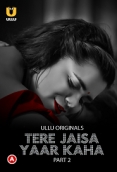 Tere Jaisa Yaar Kaha (2023) S01 Part 2 Ullu Web Series Watch Online